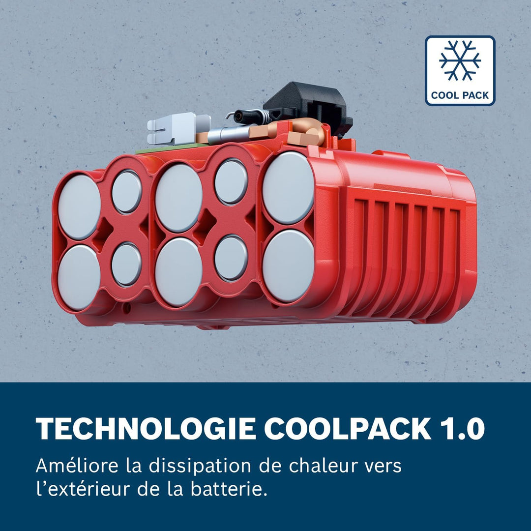 Bosch Professional Starter Set 2x5,0Ah (C)